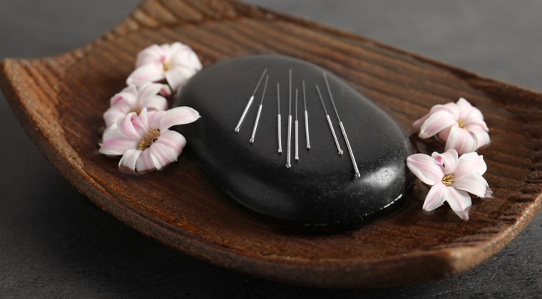 acupuncture needles on a black rock surrounded by flowers