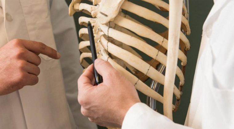 Doctors pointing to spine 
